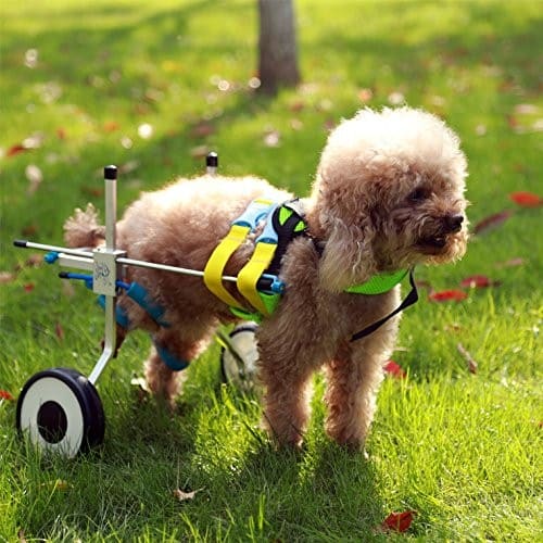 Adjustable Dog Wheelchairs