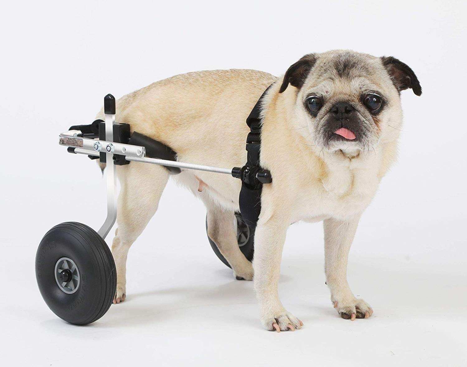 K9 Carts Small Dog Wheelchairs
