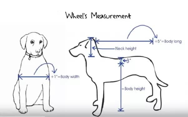 how to make a dog wheel chair